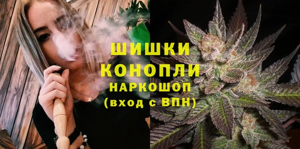 сатива Алексин