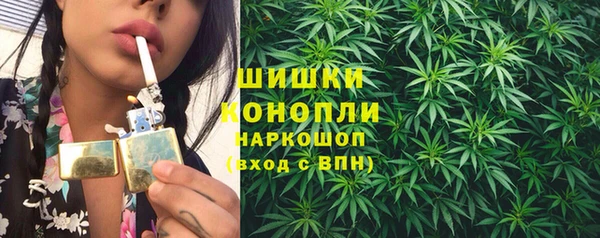 прущие грибы Абинск