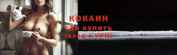 амф Гусев