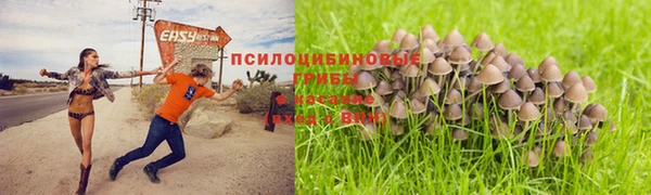 сатива Алексин